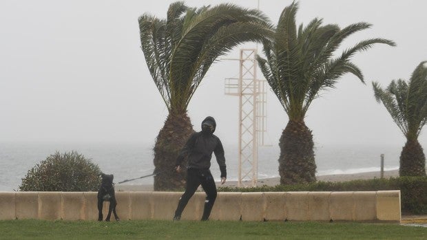 El tiempo en Cádiz: alerta naranja por fuertes rachas de viento y riesgo de calima