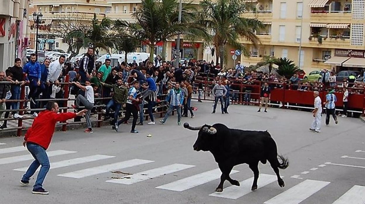 El Toro Embolao regresa a Los Barrios con el encierro de Gañán