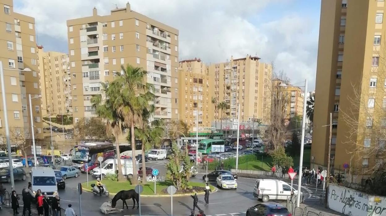 Caballos este jueves por las calles de Algeciras