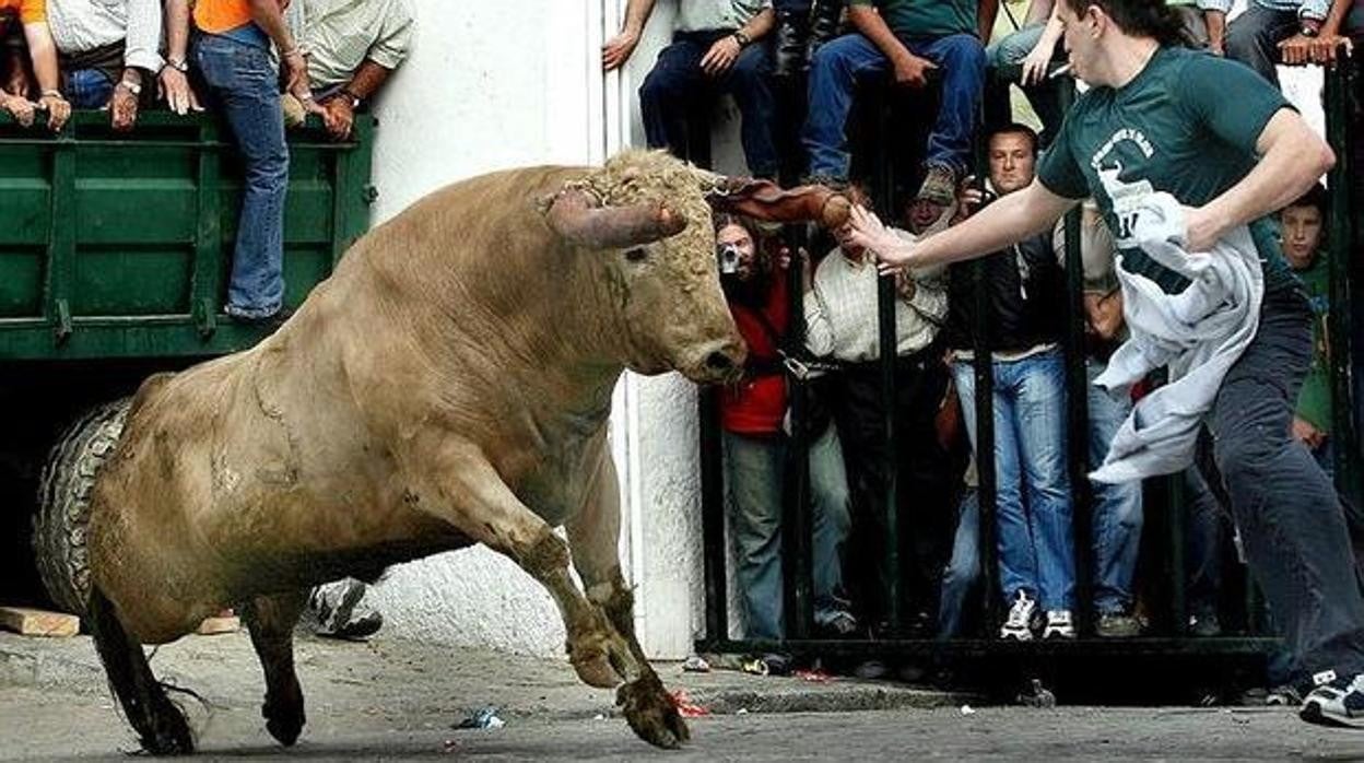 Este fin de semana tiene lugar el Toro del Aleluya de Paterna