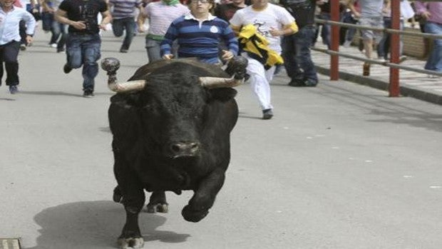 Los Barrios celebra el Toro Embolao este fin de semana