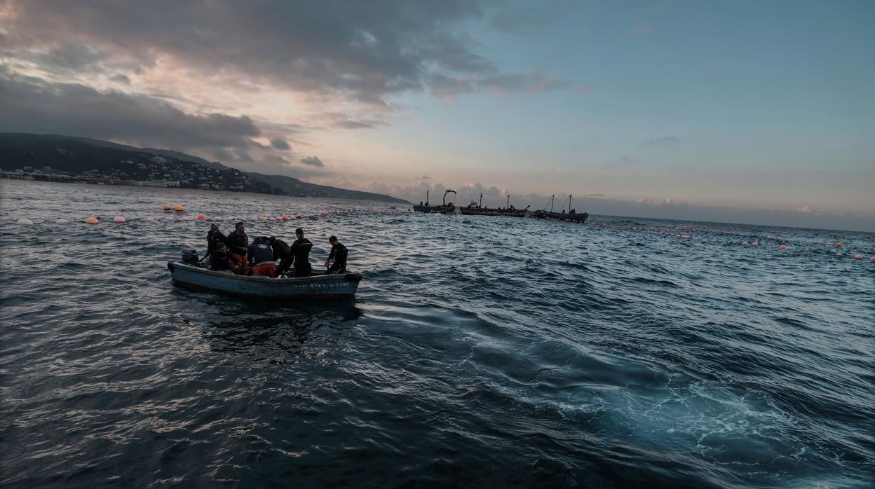 Las tres almadrabas han paralizado su actividad en señal de duelo