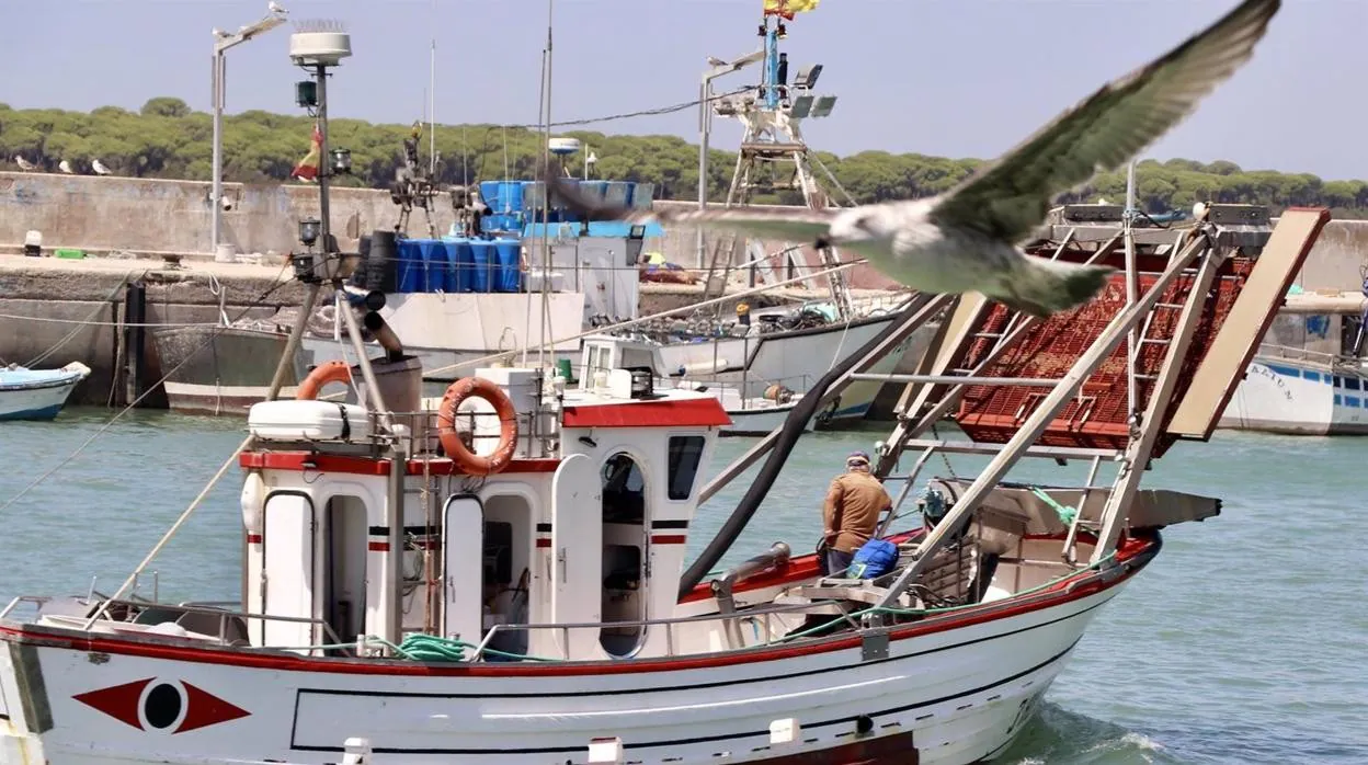 Cádiz acogerá un encuentro internacional de pesca artesanal