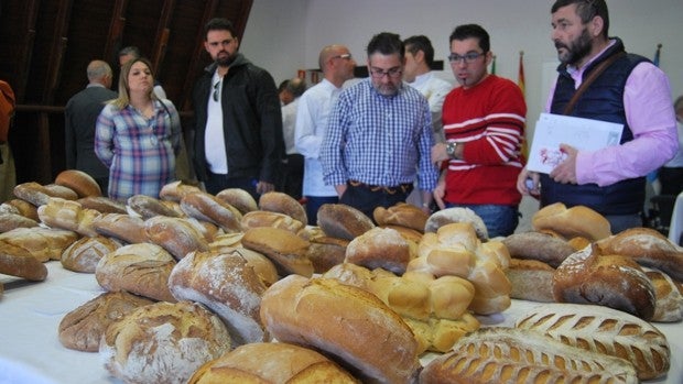 El pan de Alcalá de Guadaíra quiere 'comerse' más mercado en la provincia de Sevilla