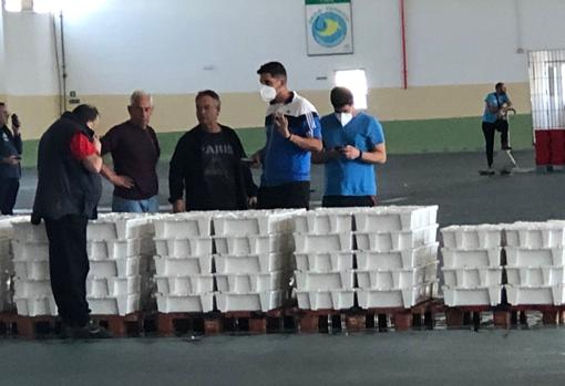 Selección de las cajas con sardinas de Marruecos en el puerto pesquero de Cádiz