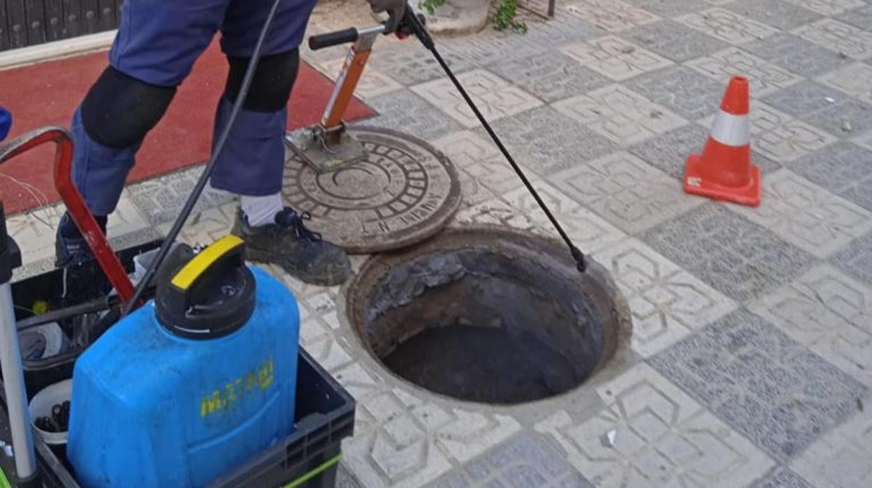 Los trabajos de desinfección que se están realizando.