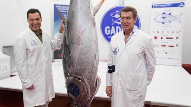 Nuñez Feijóo y Moreno Bonilla visitan Barbate y viven la pesca del atún