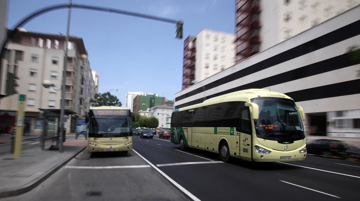 Autobuses del Consorcio de Transportes Bahía de Cádiz.