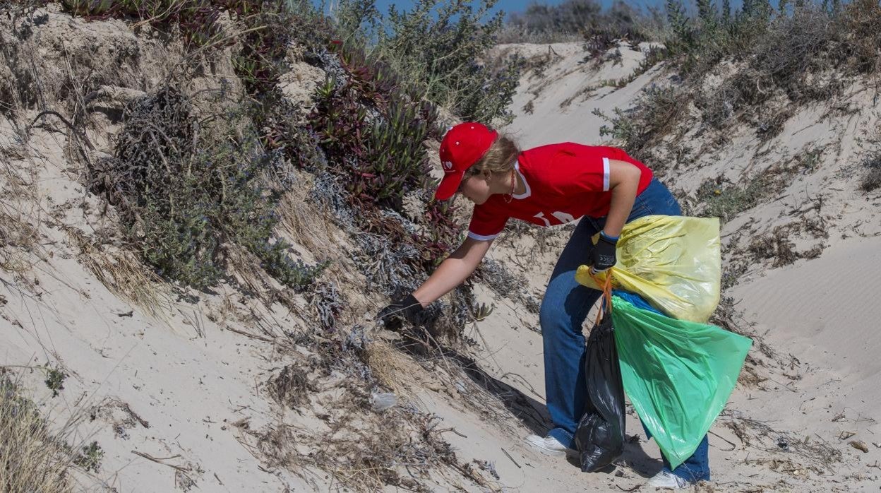 Recogida de residuos en la playa