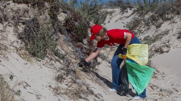 Mares Circulares celebra el Día Mundial de los Océanos con la retirada de 268 kilos de residuos de la playa de Valdelagrana