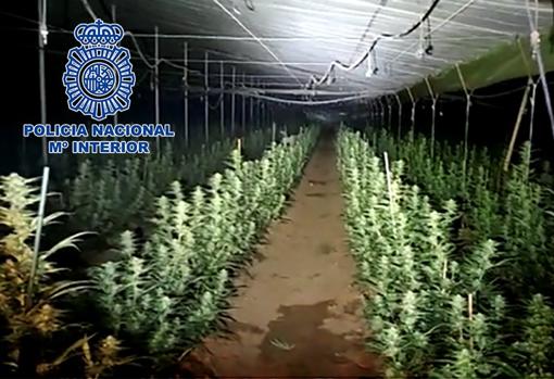 Vídeo: Imágenes de la operación que acabó con una banda de narcos gallegos que se proveía de marihuana en la provincia