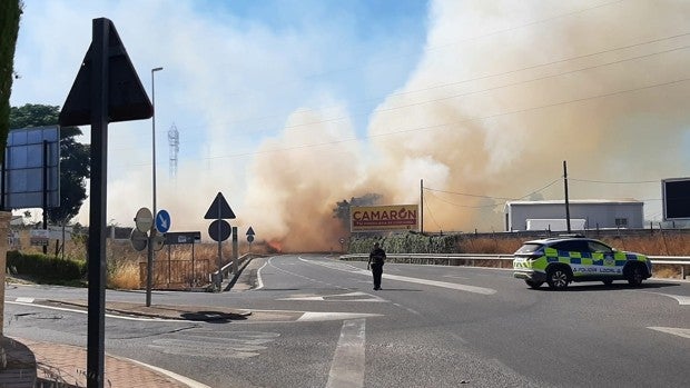 Controlado el incendio entre Mairena del Aljarafe y Palomares que obligó al desalojo de una decena de viviendas