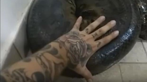Una anaconda se cuela en su casa y el dueño pone en riesgo su vida por acariciarla