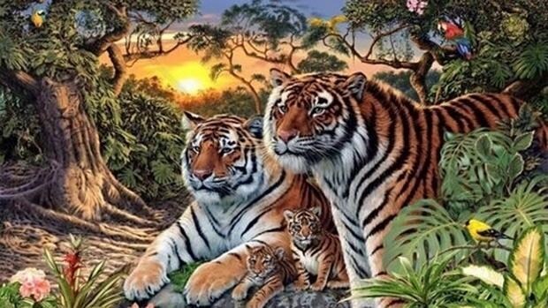 Pocos saben el número exacto de tigres de esta imagen