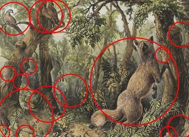 Desafío viral en una ilustración de hace casi 150 años: ¿Cuántos rostros humanos y de animales puedes encontrar?