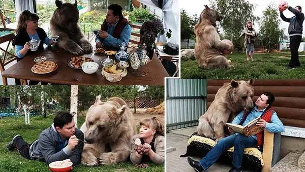 La familia rusa que comparte su vida con un gigatesto oso.... y vive para contarlo