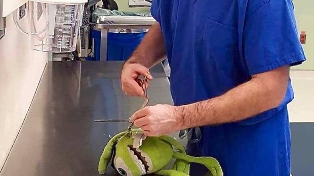 El médico Travis Groth «opera» al peluche de su paciente