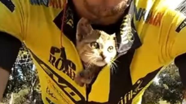 Viitor Fonseco salvó a un gato abandonado