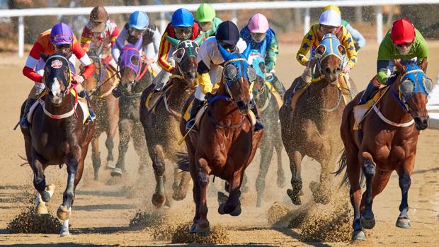Cómo apostar en deportes