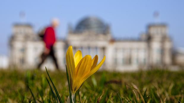 Frases para dar la bienvenida a la primavera