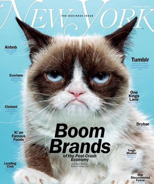 Muere a los siete años «Grumpy Cat», la gata más famosa de internet