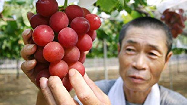 Venden un racimo de uvas «perfectas» en Japón por 10.000 euros