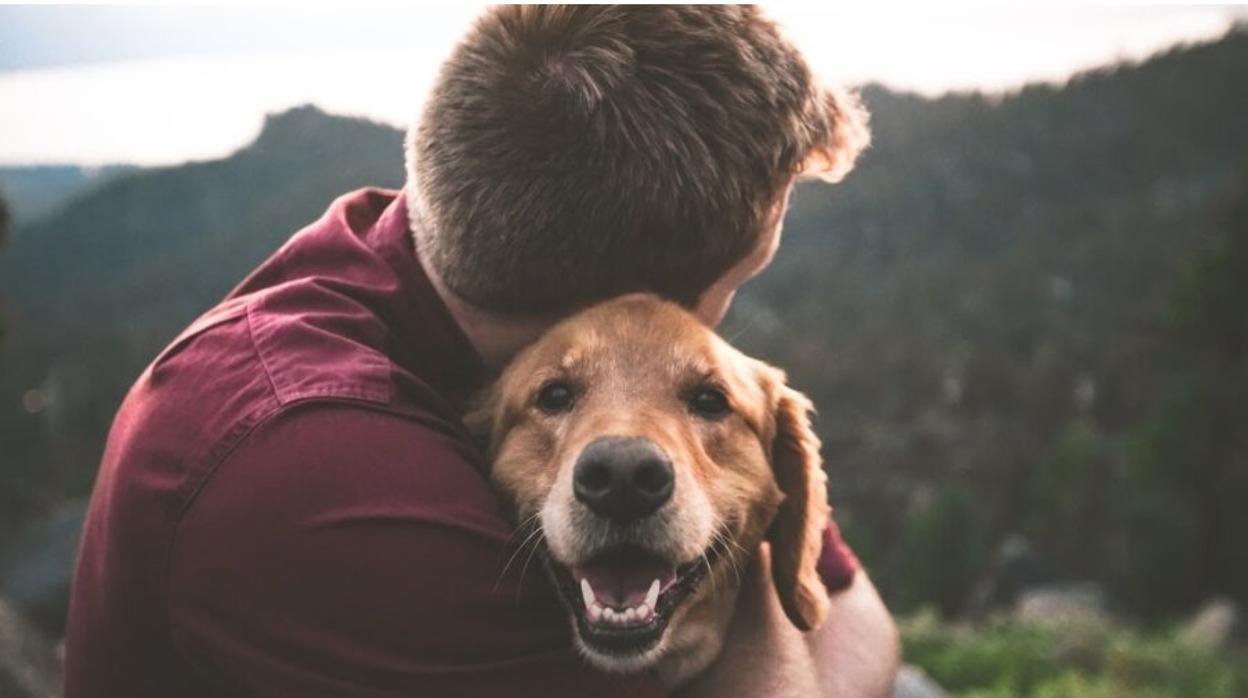 Las mascotas son amigos inseparables y hay que asegurarles el máximo bienestar