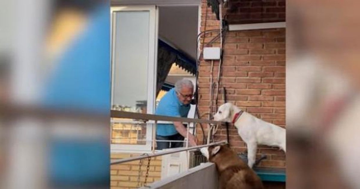 El conmovedor gesto de un anciano con los perros de su vecina