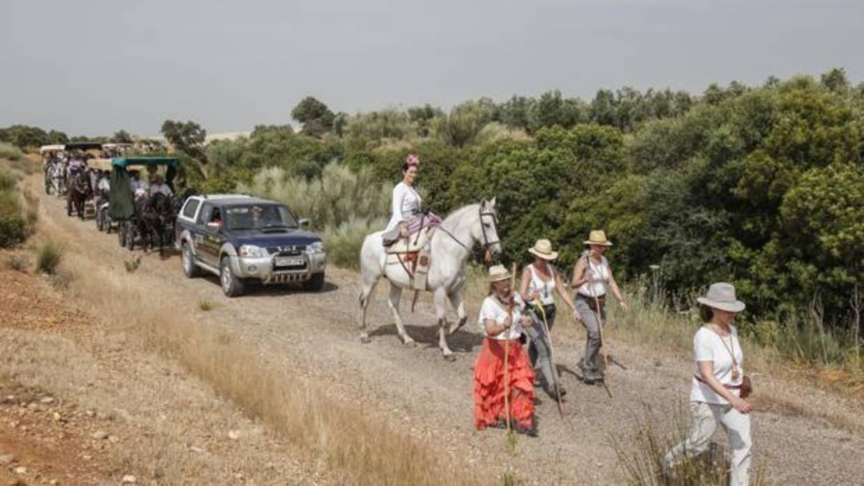 La hermandad del Rocío de Córdoba camino de la Aldea, el pasado viernes