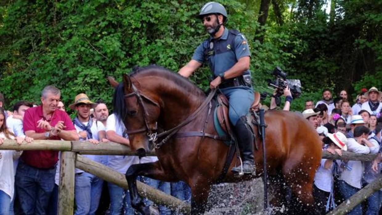 Agente de la caballería de la Guardia Civil durante esta romería de El Rocío