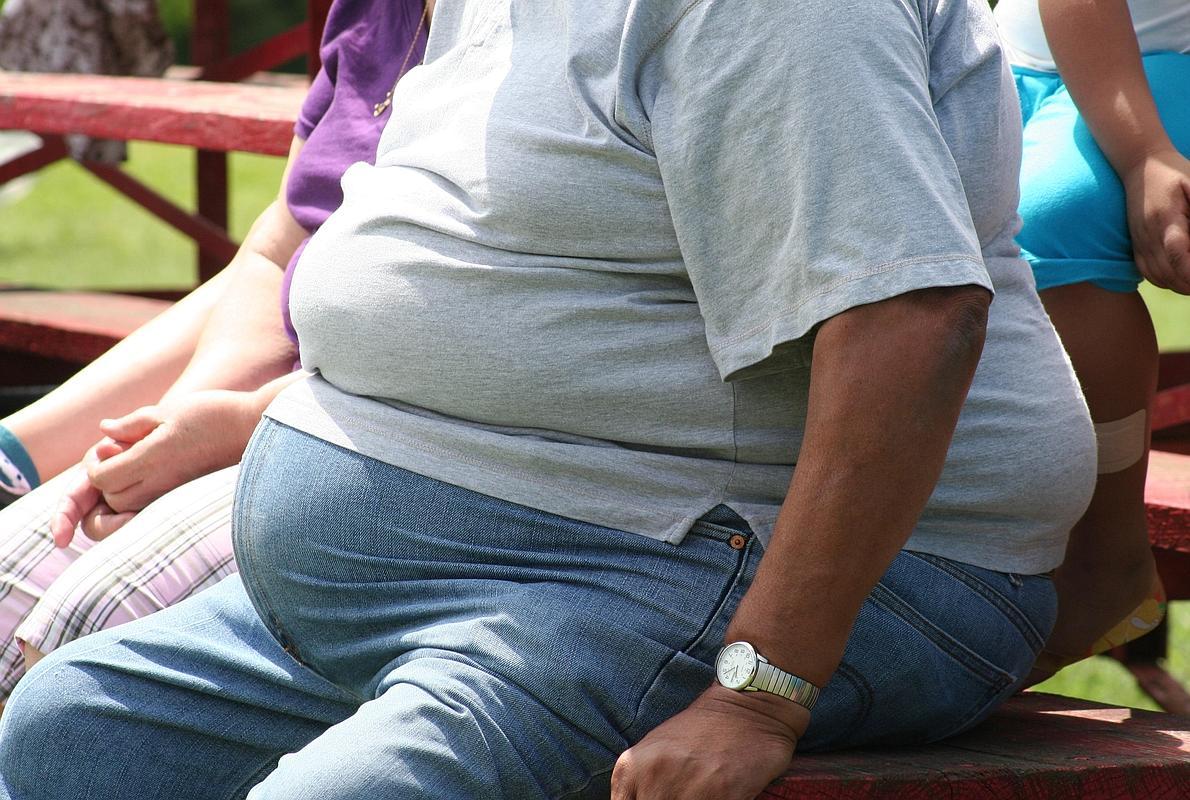 Los hombres obesos podrian estar transmitien do la obesidad a su descendencia