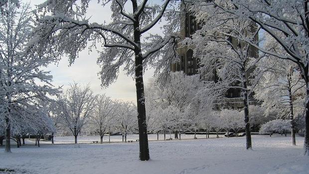 La llegada del invierno nos induce a acumular grasa