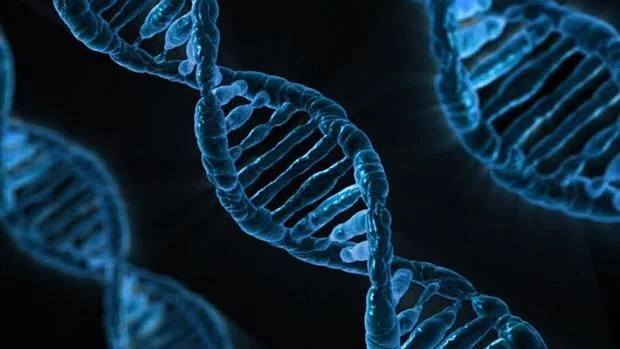 Nuestro ADN contiene virus ancestrales esenciales para combatir las infecciones
