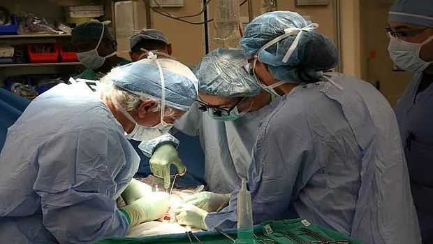 En España se realizaron el pasado año 1.162 trasplantes de hígado