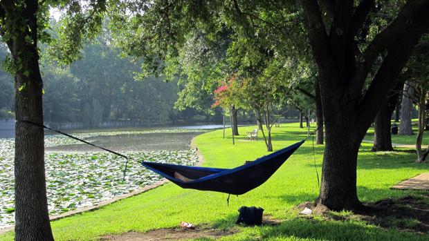 Las siestas más largas podían ser un síntoma de diabetes