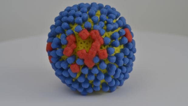 Modelo en 3D del virus de la gripe con sus piruletas naranjas y azules