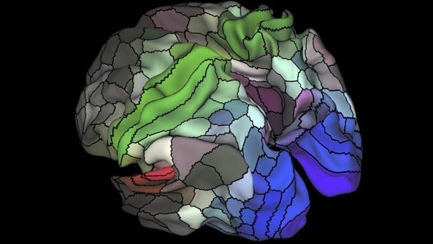 Nuevas perspectivas para la regeneración neuronal después de un daño adquirido