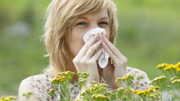 El 10% de la población padece alergia al polen