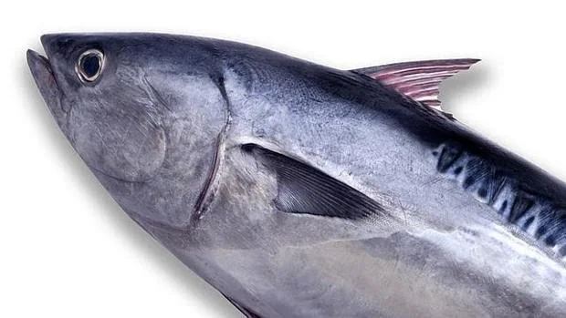 El pescado azul es rico en ácidos grasos omega-3