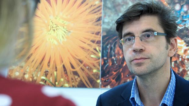 «La quimioterapia sigue siendo la columna vertebral de la mayoría de nuestros éxitos terapéuticos»