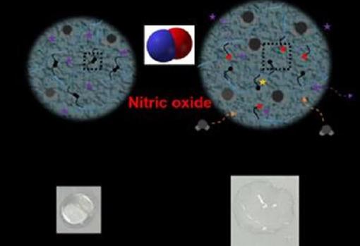 Diseñado un gel muy prometedor para el tratamiento de la artritis reumatoide