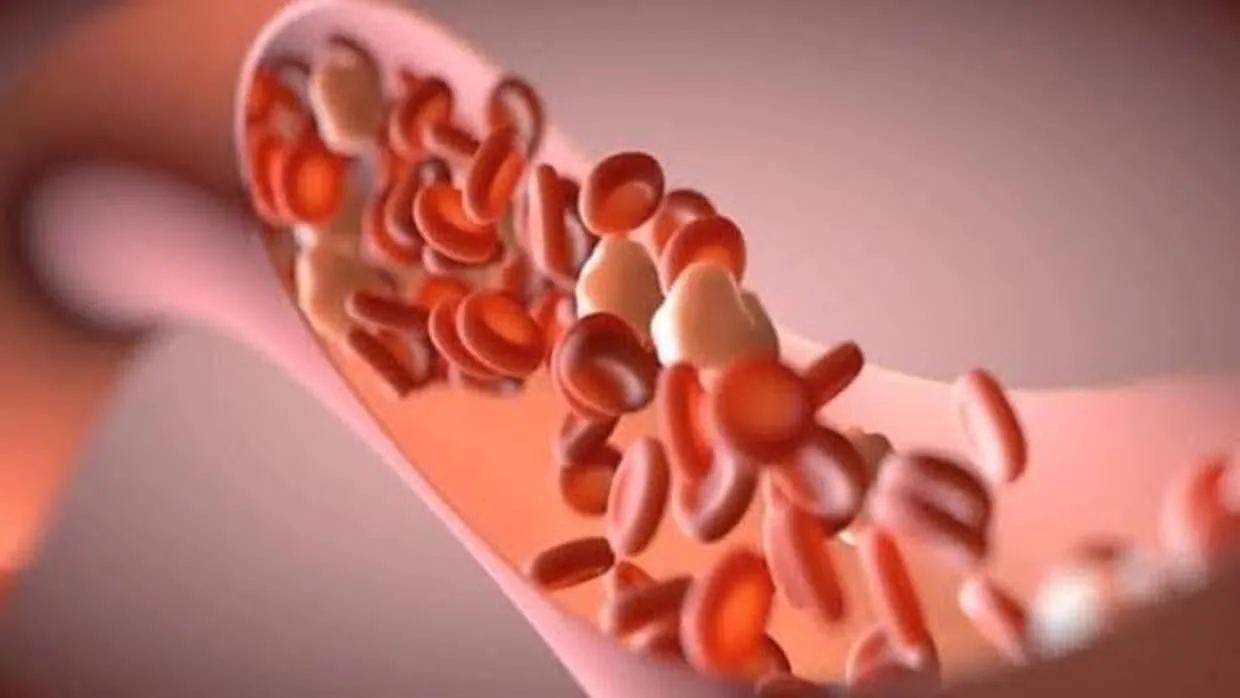 Las estatinas reducen el nivel de colesterol en sangre