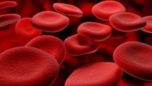 Una sola dosis de terapia génica basta para evitar las hemorragias en la hemofilia B