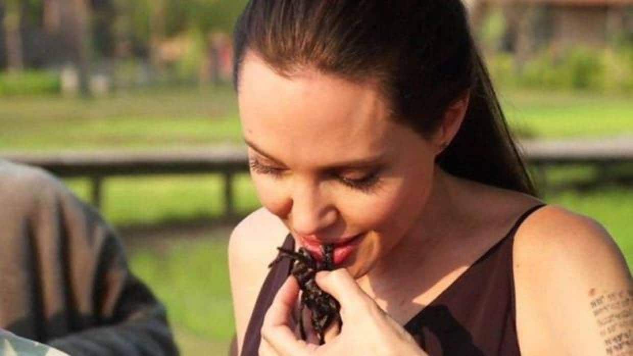 Angelina Jolie es una asidua a comer cucarachas, tarántulas y escorpiones. «En realidad tienen un sabor muy bueno», explicaba en un vídeo de la BBC