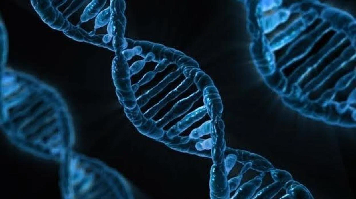 El riesgo genético no implica necesariamente el desarrollo de la enfermedad