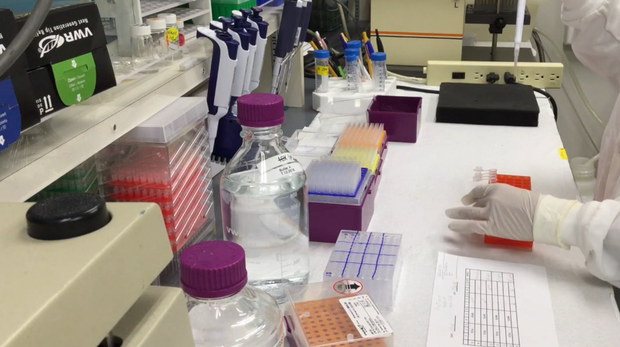 El superanalgésico: alivia el dolor y elimina la adicción a los opioides