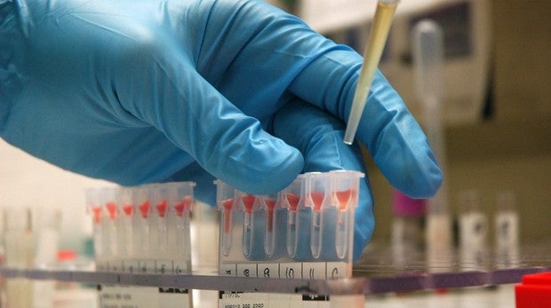 La edición genética corrige prenatalmente enfermedades metabólicas