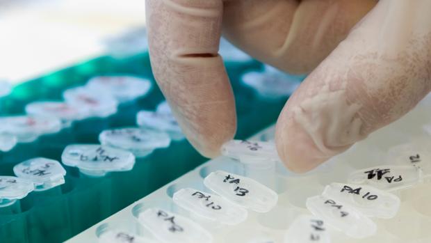 Uso de datos clínicos y big data: una oportunidad que beneficia a toda la sociedad