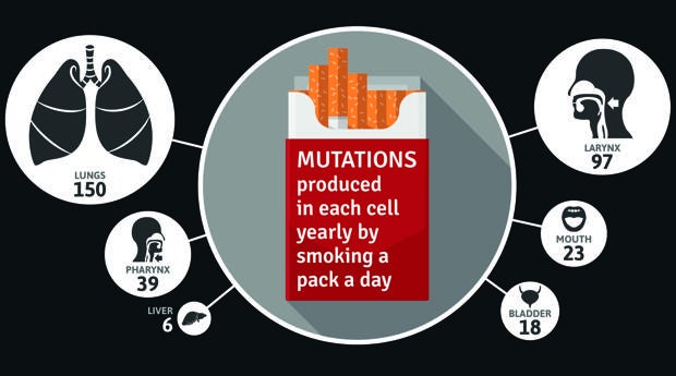 Algunos analgésicos pueden mejorar la supervivencia en el cáncer de cabeza y cuello