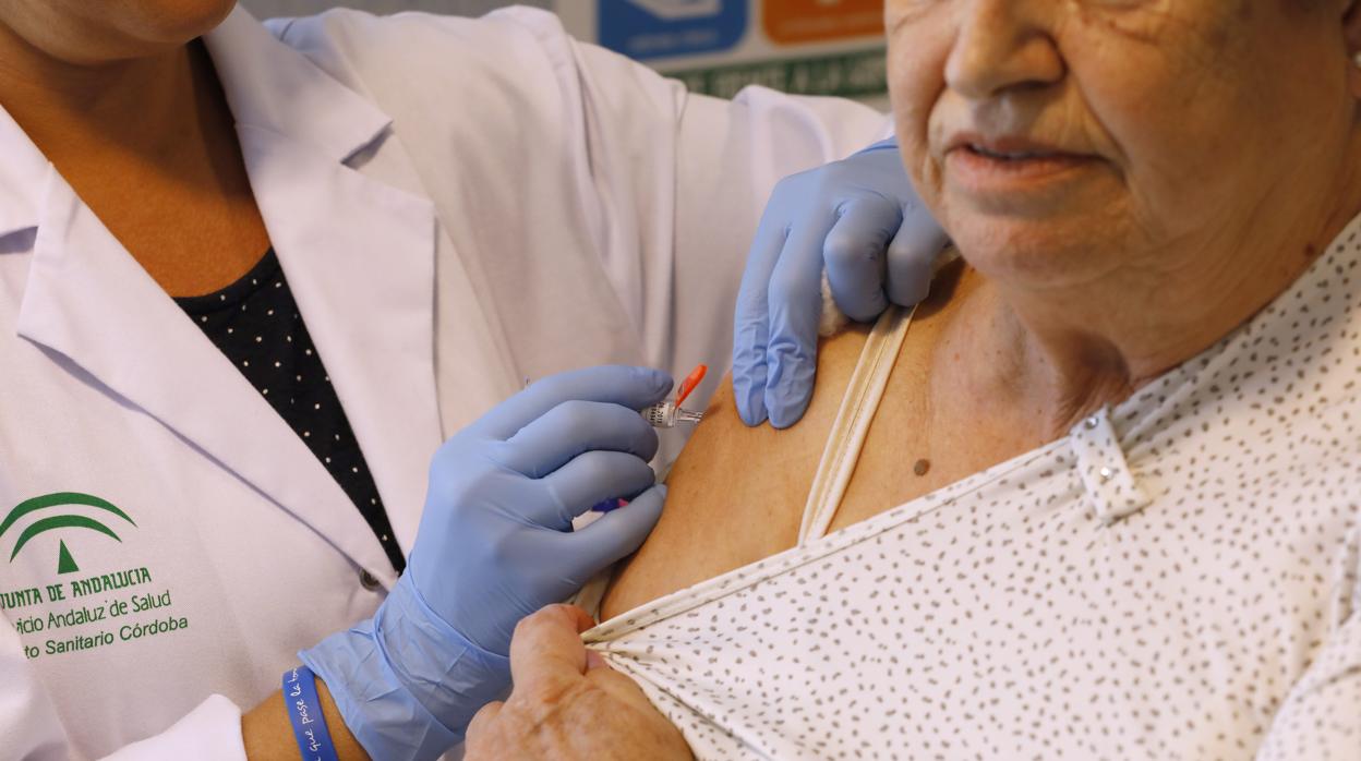 La OMS intensifica sus campañas frente al temor de una nueva pandemia de gripe